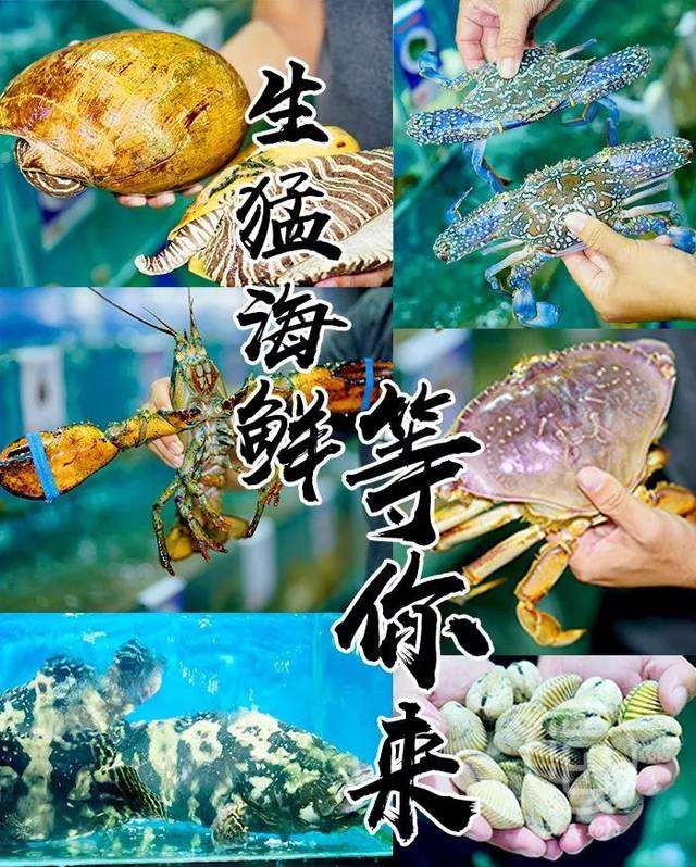 中國(guó)大部分的海鮮都是從代發(fā)貨這里批發(fā)？