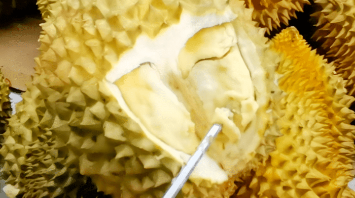 水果店老板賣榴蓮時(shí)，就靠這幾種方法進(jìn)貨，一挑一個(gè)準(zhǔn)，很少賠錢