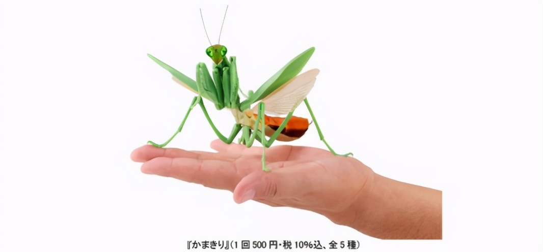 日本五大玩具公司業(yè)績(jī)《鬼滅之刃》帶動(dòng)壽屋，多美三麗鷗繼續(xù)虧損