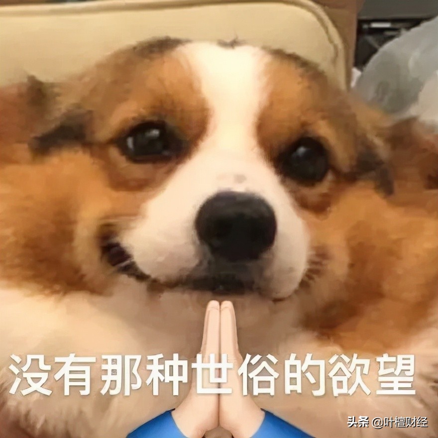 暴漲40倍！還買什么房子股票 都不如炒它香？