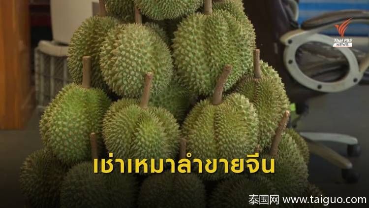 泰國(guó)榴蓮進(jìn)貨渠道（我們吃的榴蓮都是從泰國(guó)進(jìn)口的嗎）