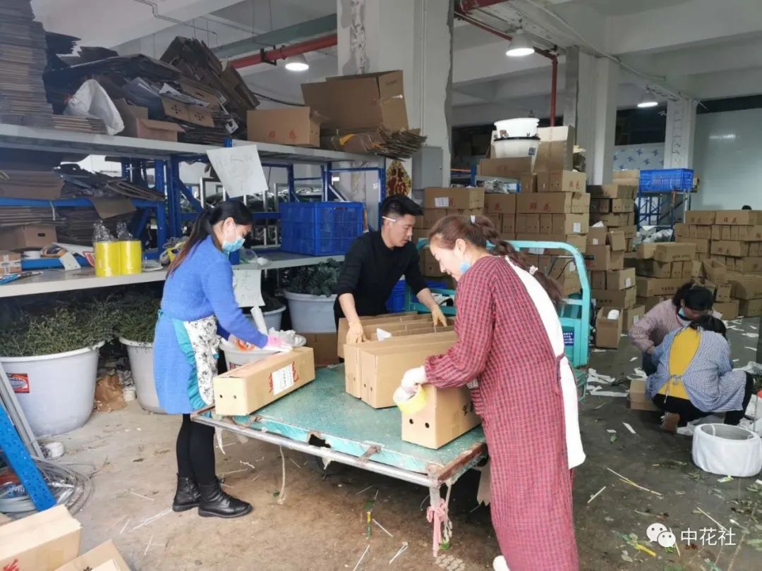 鮮花“一件代發(fā)”能長久嗎？