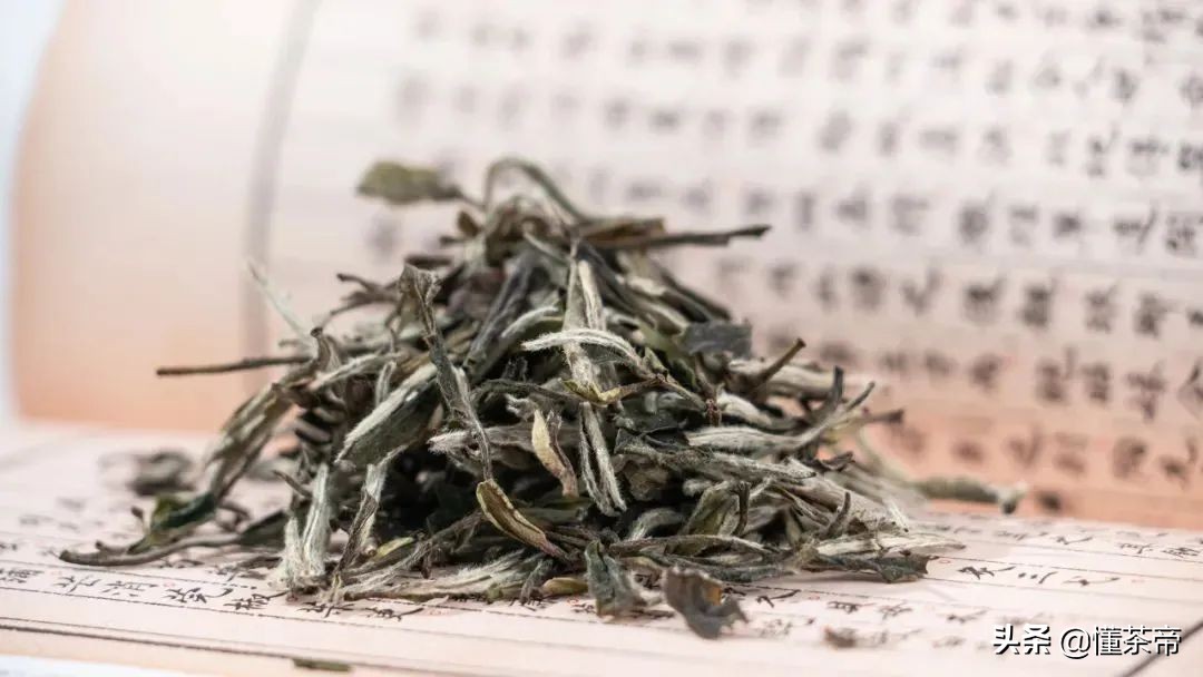 六大茶類(lèi)代表名茶有哪些？喝過(guò)三款以上才稱(chēng)得上大神