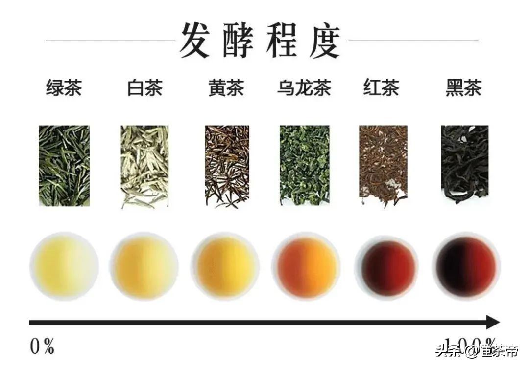 中國名茶有哪些？中國有哪些有名的茶品種？