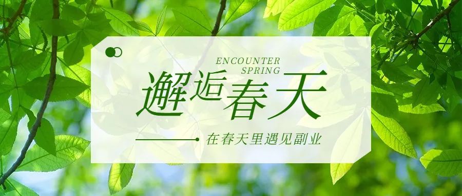 副業(yè)賺錢的路子有哪些？30個靠譜副業(yè)項目！