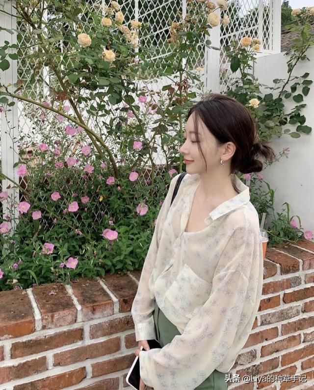 女裝真絲上衣大碼（女裝真絲上衣長(zhǎng)袖多少錢一件_）