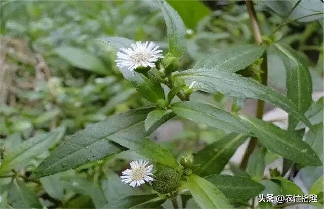 得物上賣家的貨源怎么來的（得物上的貨源是個(gè)人嗎）