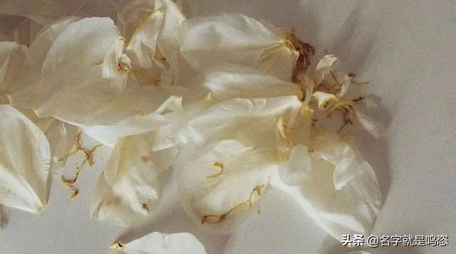 穿丁字褲的女生，一定不檢點？