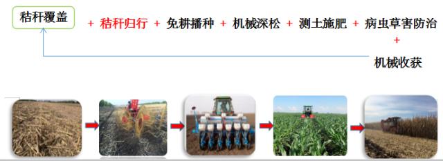全量全速公司官網(wǎng)（全速 公司）