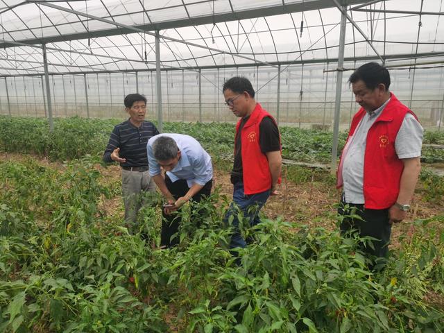 唐森網絡有限公司（唐森海）
