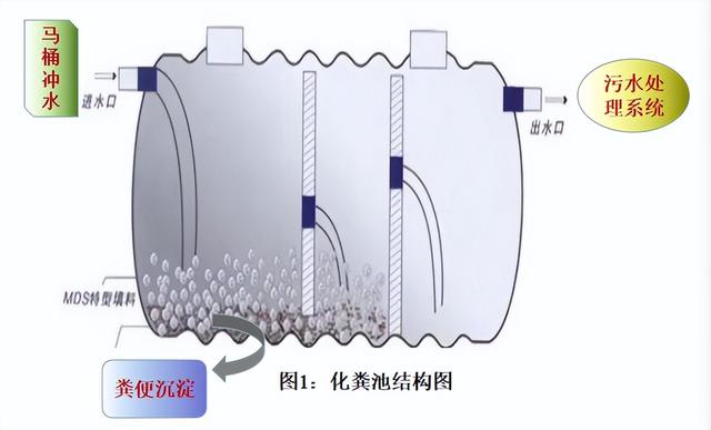 胰酪大豆胨怎么讀，胨怎么讀音？