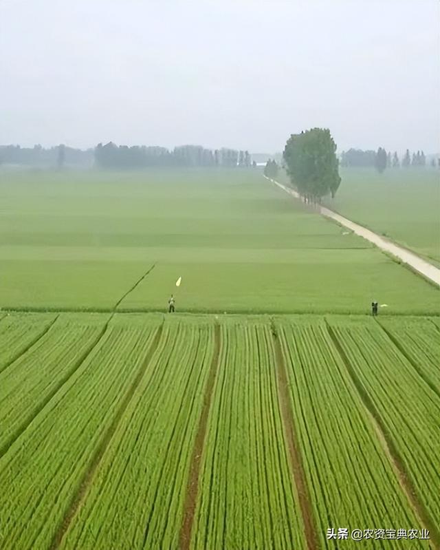 昆侖代理注冊，昆侖有限公司？