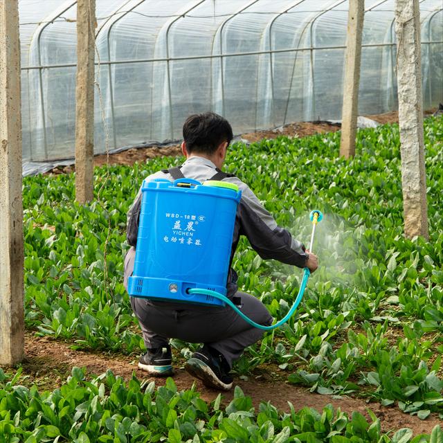 電子噴霧器價格，電動噴霧器價格？