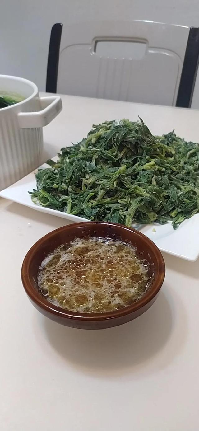 面條菜學(xué)名叫什么，面條菜的功效與作用及禁忌？