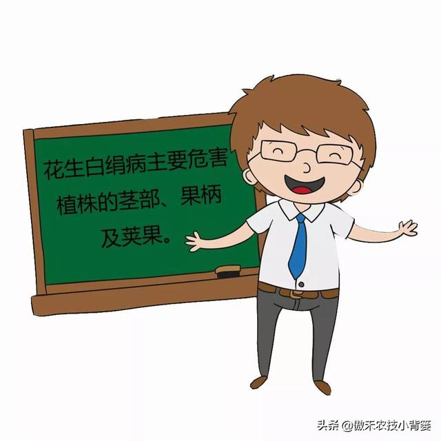 對(duì)氯硝基苯和氫氧化鈉反應(yīng)方程式，對(duì)氯硝基苯和甲醇鈉反應(yīng)？