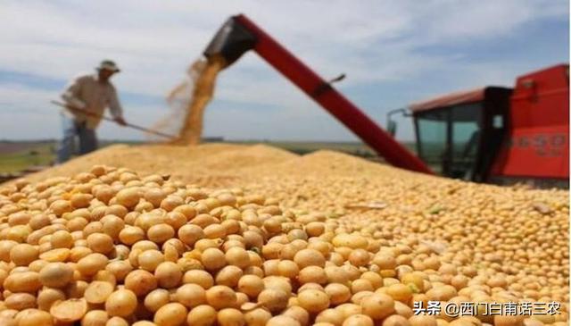 進(jìn)口大豆價格最新行情2021，進(jìn)口大豆價格最新行情2020？