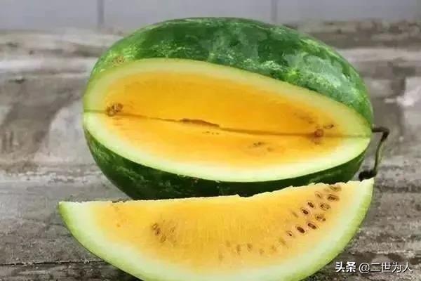 到底是“浜瓜”還是“崩瓜”？兼談老浜、老頭浜、老浜瓜的由來