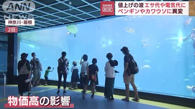 日生高級(jí)水族箱，日升水族箱廠家官網(wǎng)？