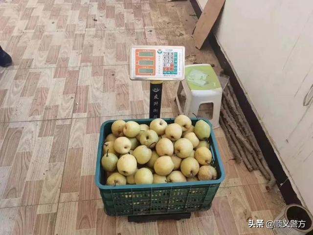 上海水果批發(fā)市場進(jìn)貨渠道（蔬菜水果批發(fā)市場進(jìn)貨渠道）