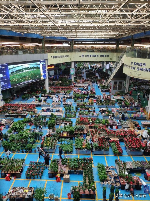 昆明鮮花批發(fā)市場地址，昆明鮮花批發(fā)市場地址電話？