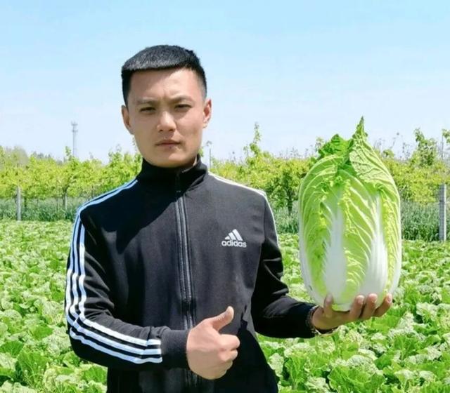 蔬菜批發(fā)新手如何進(jìn)貨，長(zhǎng)沙蔬菜在哪里進(jìn)貨？