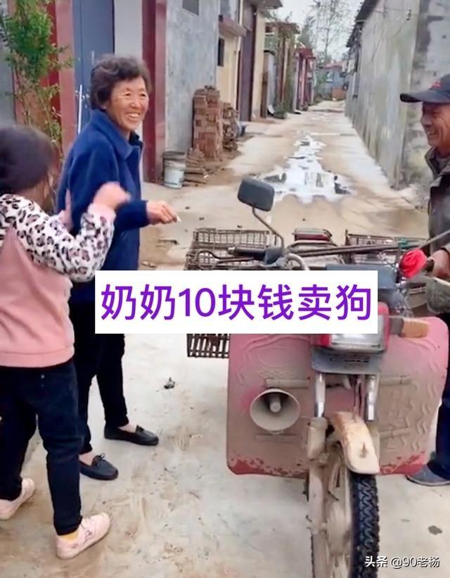 買小狗10元一只小型的，批發(fā)買小狗10元一只？