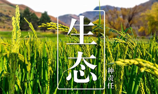大米批發(fā)進(jìn)貨渠道電話，大米批發(fā)進(jìn)貨渠道電話號(hào)碼？