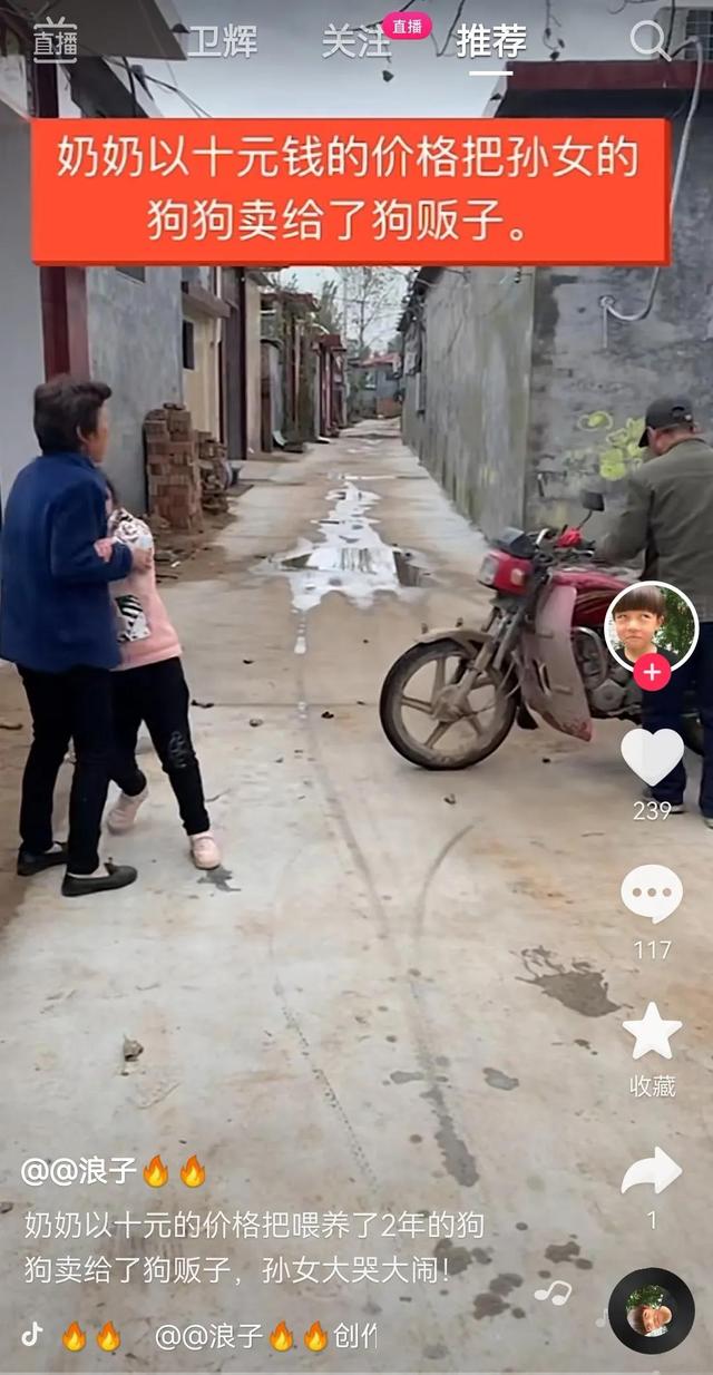 買小狗10元一只，買小狗10元一只茶杯犬？