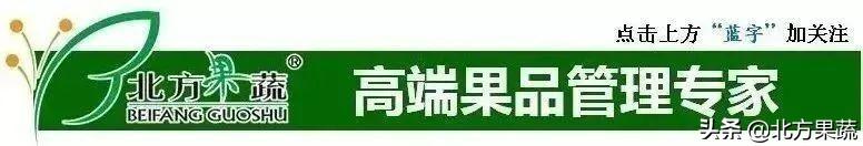 果樹苗批發(fā)基地三年苗各種苗大全價格，哪里有果樹苗批發(fā)基地？