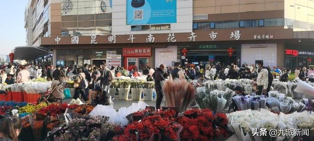 云南花卉批發(fā)基地在哪里，云南花卉批發(fā)基地在哪里有？