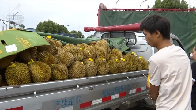 榴蓮批發(fā)市場(chǎng)進(jìn)貨渠道，泰國(guó)榴蓮批發(fā)市場(chǎng)進(jìn)貨渠道