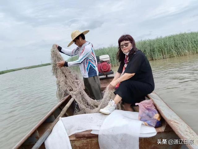 供應(yīng)批發(fā)蘆葦種苗廠家，供應(yīng)批發(fā)蘆葦種苗廠家電話