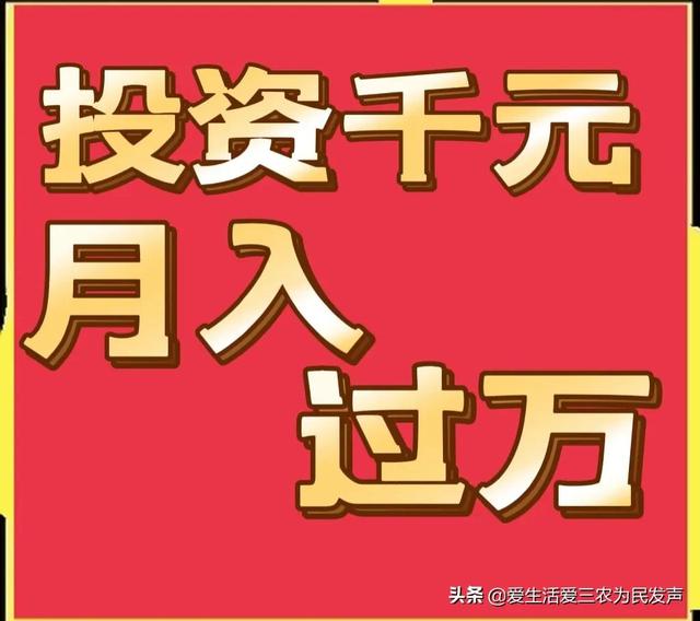 跑江湖地攤新產(chǎn)品，跑江湖地攤新產(chǎn)品怎么做
