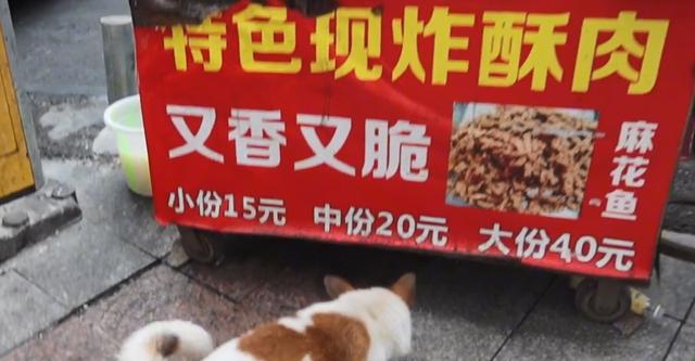 重慶50種地?cái)傂〕詧D片，重慶50種地?cái)傂〕詧D片大全