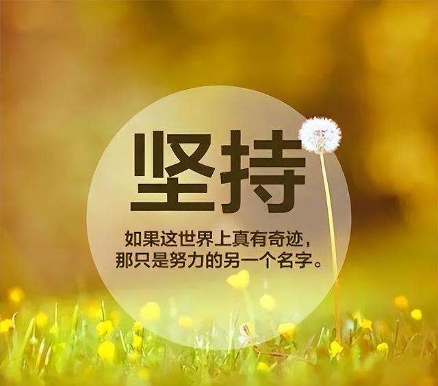 拼多多無貨源如何開網(wǎng)店全套教程，拼多多無貨源如何開網(wǎng)店全套教程推薦多多大師