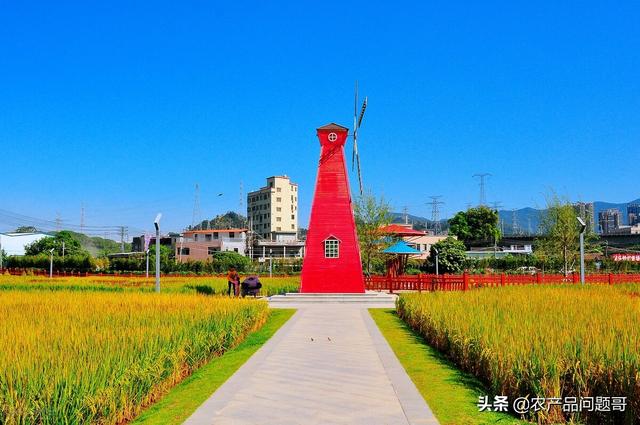農(nóng)產(chǎn)品一手貨源批發(fā)網(wǎng)包郵,最便宜的最近的，農(nóng)產(chǎn)品批發(fā)網(wǎng)哪個(gè)便宜