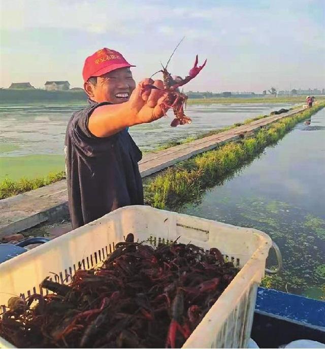 在家做手工貨源從哪找許昌有沒(méi)有，許昌手工活外發(fā)_廠家怎么找