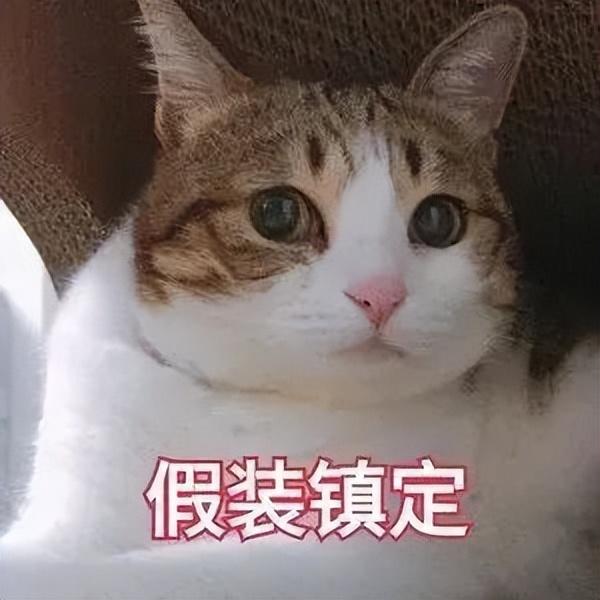 禮品公司怎么找貨源，禮品公司進(jìn)貨渠道？
