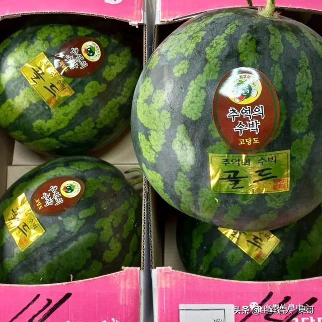 想賣水果怎么找貨源高州地區(qū)，想賣水果怎么找貨源高州地區(qū)的？