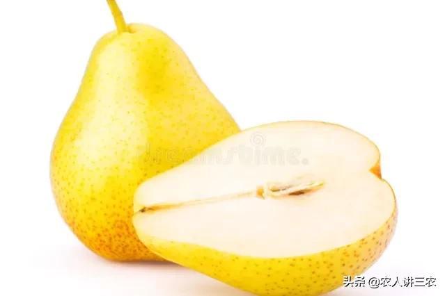 蘋(píng)果批發(fā)價(jià)格多少錢一斤算不貴，蘋(píng)果市場(chǎng)價(jià)格多少錢一斤？