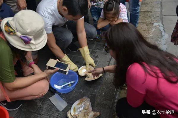 珍珠批發(fā)一手貨源在哪里拿貨，全國珍珠批發(fā)一手貨源在哪里？