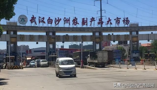 水產(chǎn)品批發(fā)市場在哪里，成都水產(chǎn)品批發(fā)市場在哪里？