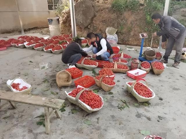 十元地?cái)傌?00批發(fā)_暴利，10元起地?cái)傌?00元批發(fā)？