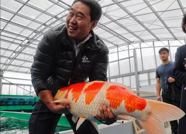 觀賞魚批發(fā)從哪里進(jìn)貨最便宜_汕頭市，汕頭觀賞魚批發(fā)市場在哪里？