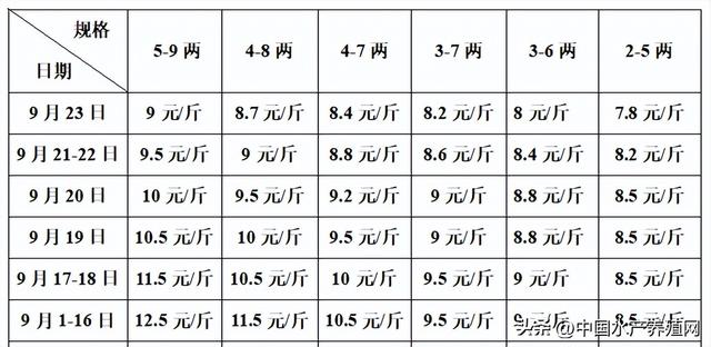 牛蛙批發(fā)價多少錢一只，牛蛙多少錢一斤市場價格？