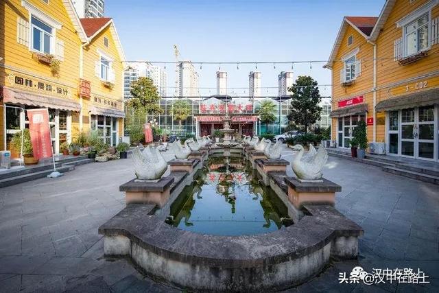 觀賞魚在哪批發(fā)，汕頭寵物魚批發(fā)在哪里？