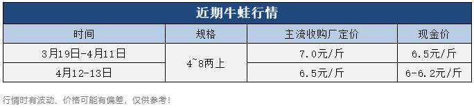 牛蛙價格現(xiàn)在多少錢一公斤，鮮活牛蛙批發(fā)價多少錢一斤？