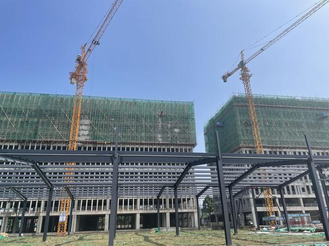 花卉批發(fā)市場進(jìn)貨渠道仁壽，花卉批發(fā)市場進(jìn)貨渠道鄭州？