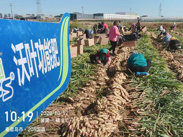 南寧肥料批發(fā)市場，南寧肥料廠家？