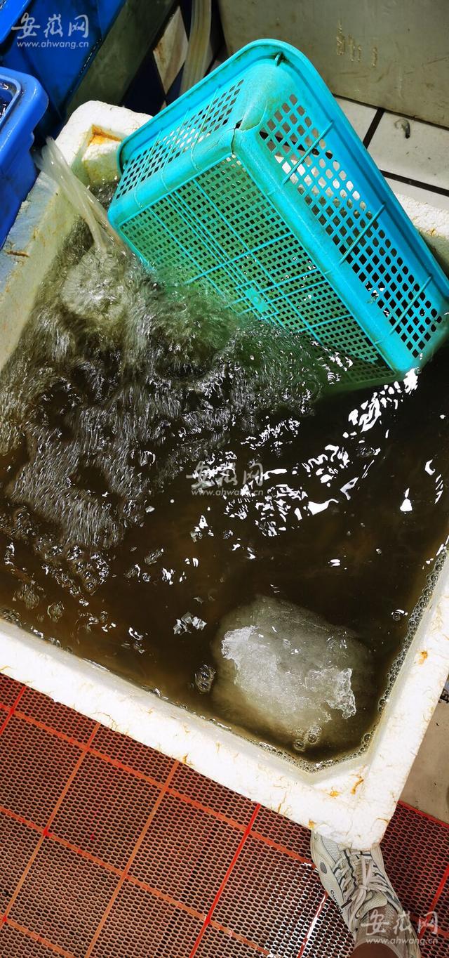 附近食用冰塊批發(fā)廠家，附近食用冰塊批發(fā)廠家電話？